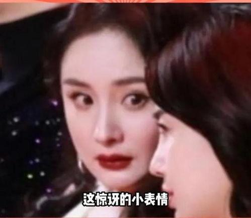娱乐圈吃瓜系列,揭秘明星背后的那些事